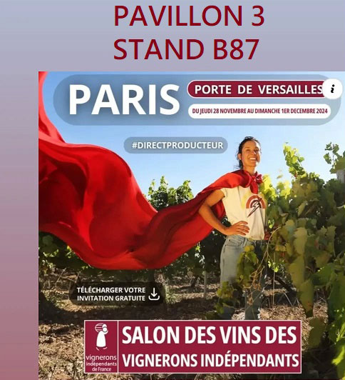 Salon VIF Paris