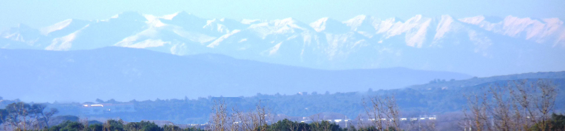 AOC Coteaux du Languedoc et Vins de Pays d'Oc : Domaine le Nouveau Monde